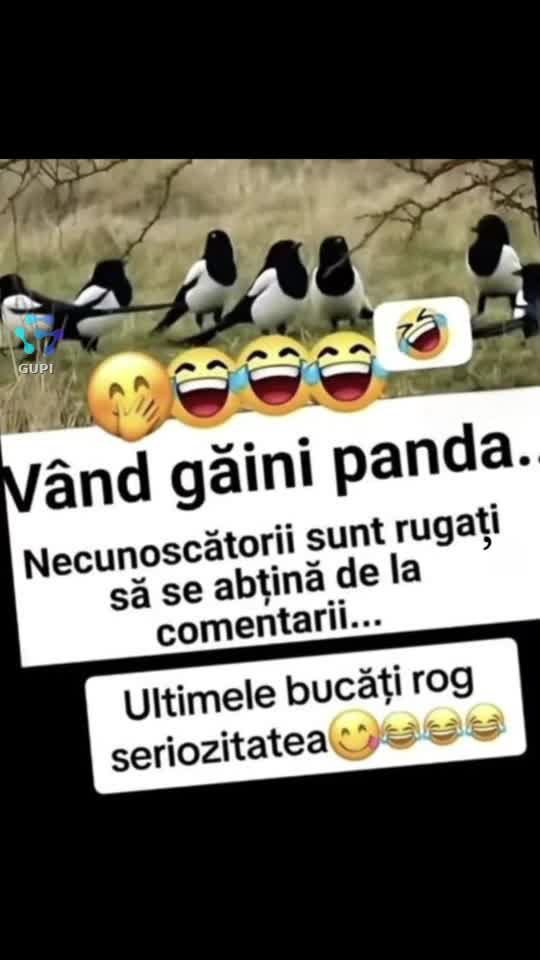 găini panda!...😁😁😁