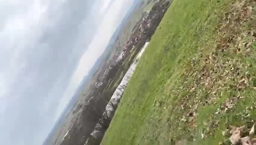 this is the freedom