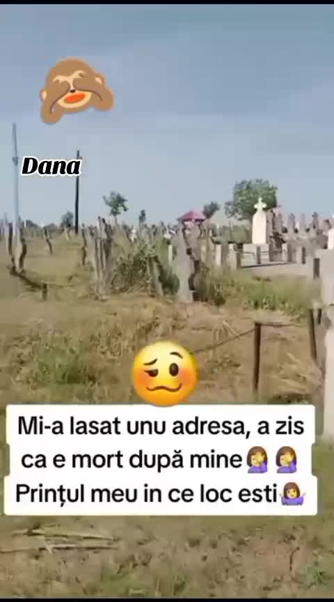 nici chiar așa 😂😂😂😂