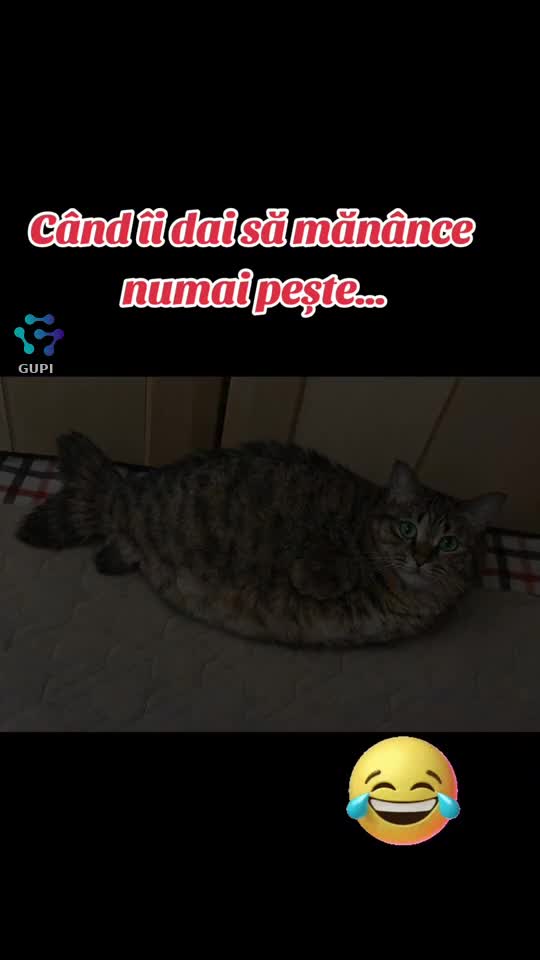când îi dai să mănânce numai pește...😁😁😁