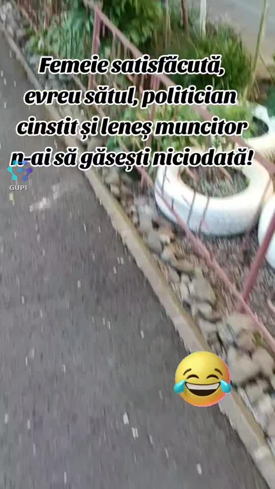 ce n-ai să găsești niciodată...😂😁😂