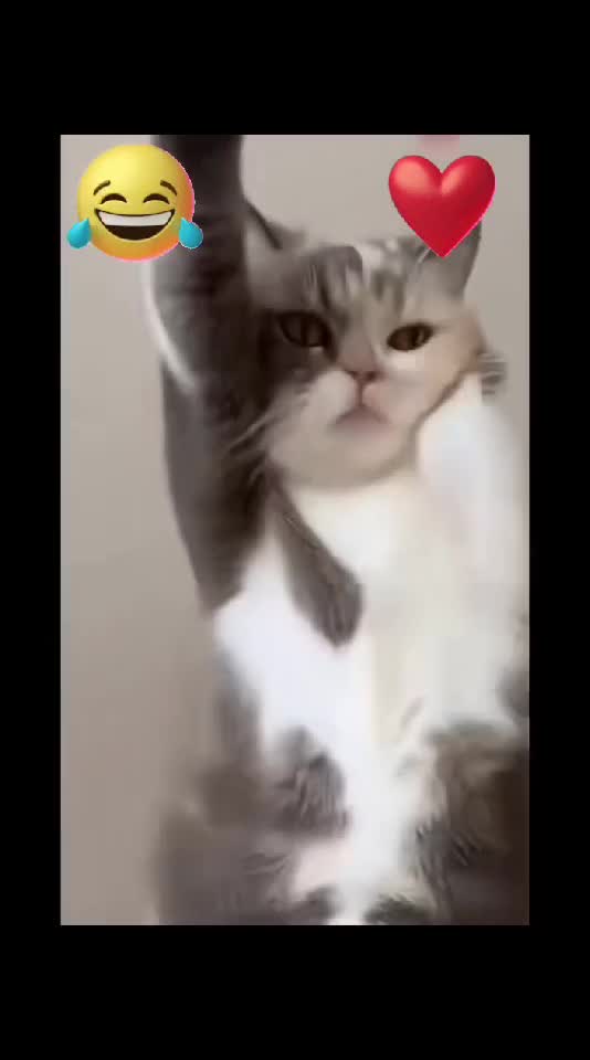 Asta-i pentru doamne, domnișoare...😁😜😁