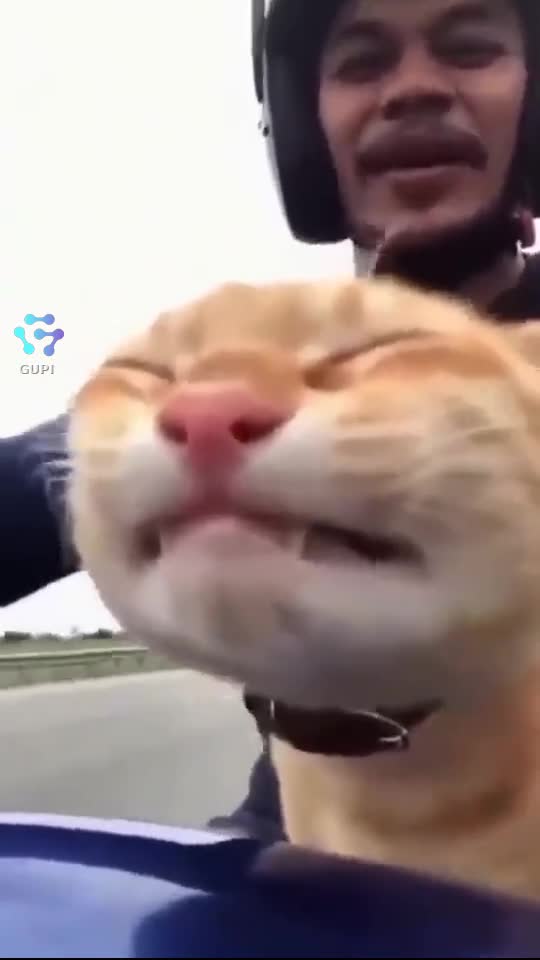😂😂