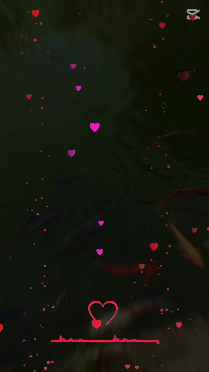 O zi frumoasă tuturor 💗🫶