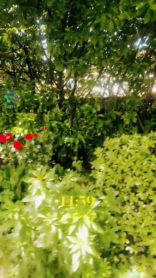 iubesc florile 🌹|||{"overlays":[{"text":"⚘️🌸♥️🌹💓","x":0.583056640625,"y":0.9207392825356012,"fontSize":19.768521704452695,"color":4294967295,"isEmoji":false}]}