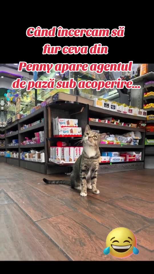agent de pază sub acoperire...😁😁😁