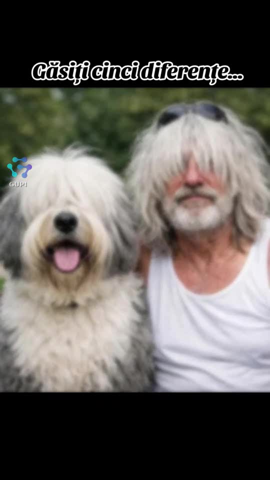 găsiți diferențele...😁😁😁