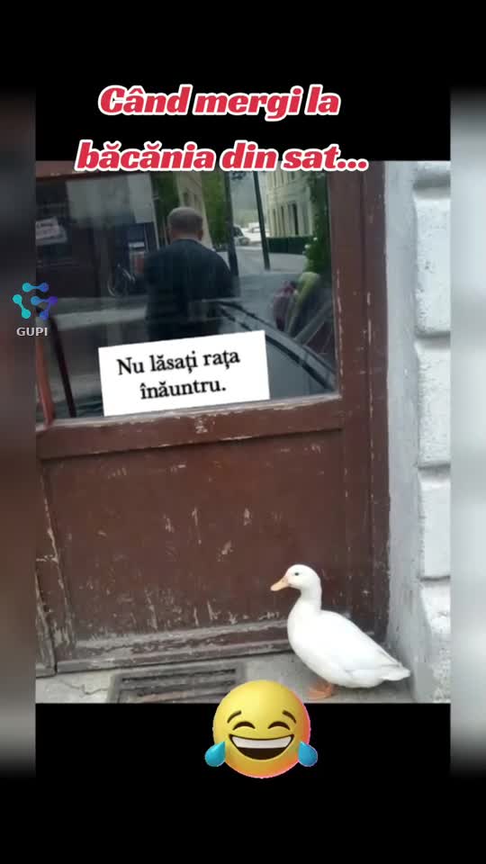 😁😂😂😁