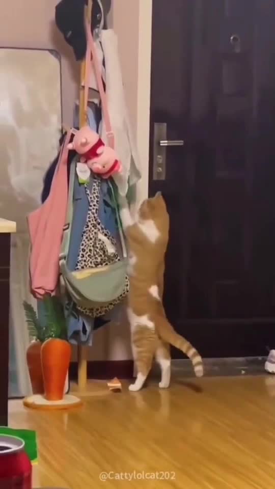🤣