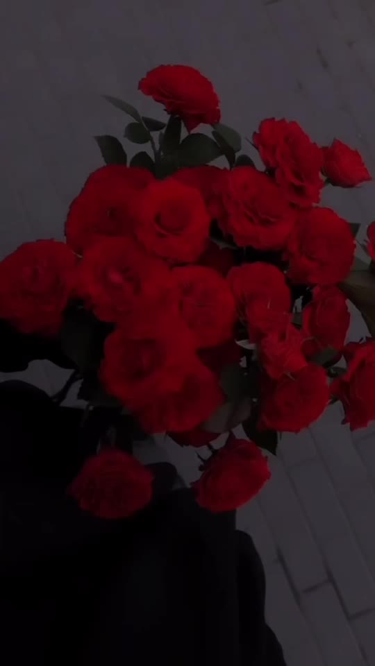 Eu mergând fericită acasă după ce mi-am cumpărat flori fără să aștept un bărbat afemeiat în călduri cu harfe de familist, să mi le ofere.😉