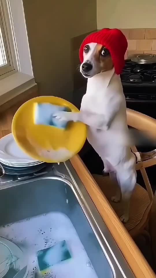 😁😁😁