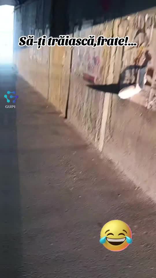 să-ți trăiască sarmalele,frate!...😂😂😂