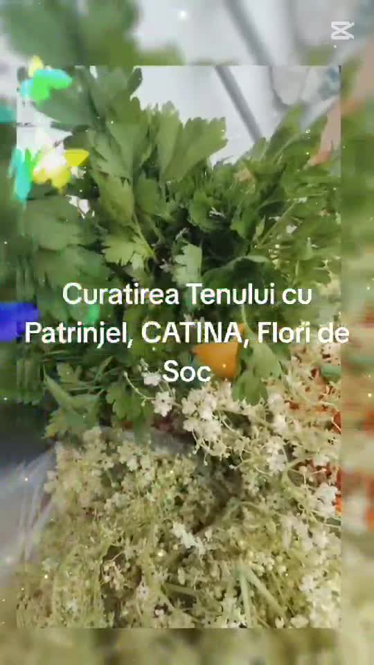 TINERETEA TENULUI