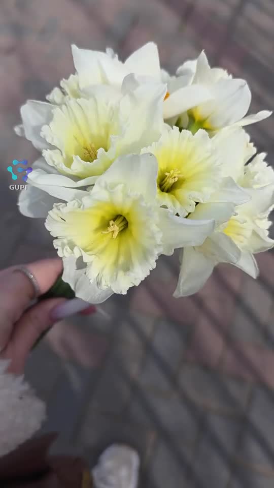 Bună dimineața! ☀️