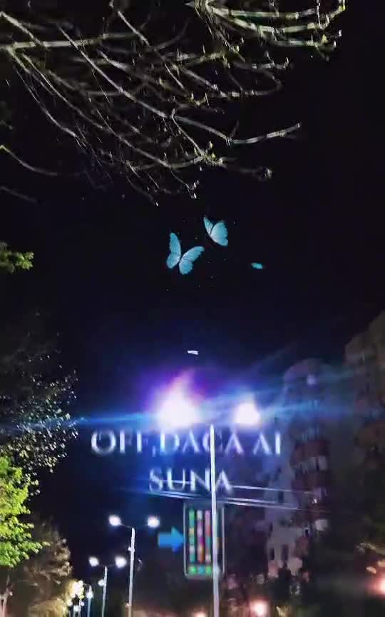 🦋 
 #❤️💙