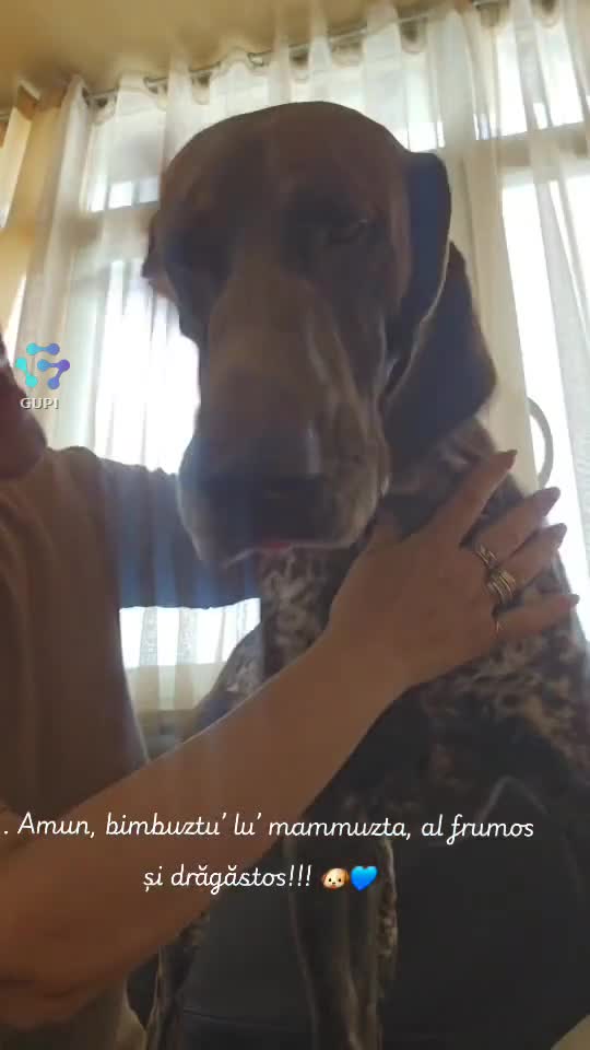 .. Amun, bimbuztu' lu' mammuzta al frumos și drăgăstos!!!😊🐕🥰
    ♎️