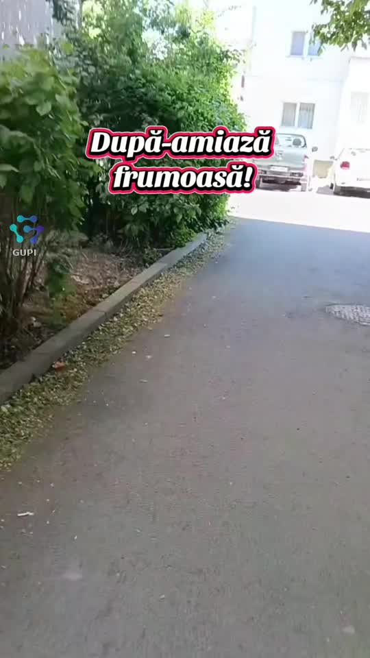după-amiază plăcută!😊😊😊
