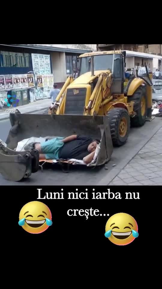 luni nici iarba nu crește...😂😂😂