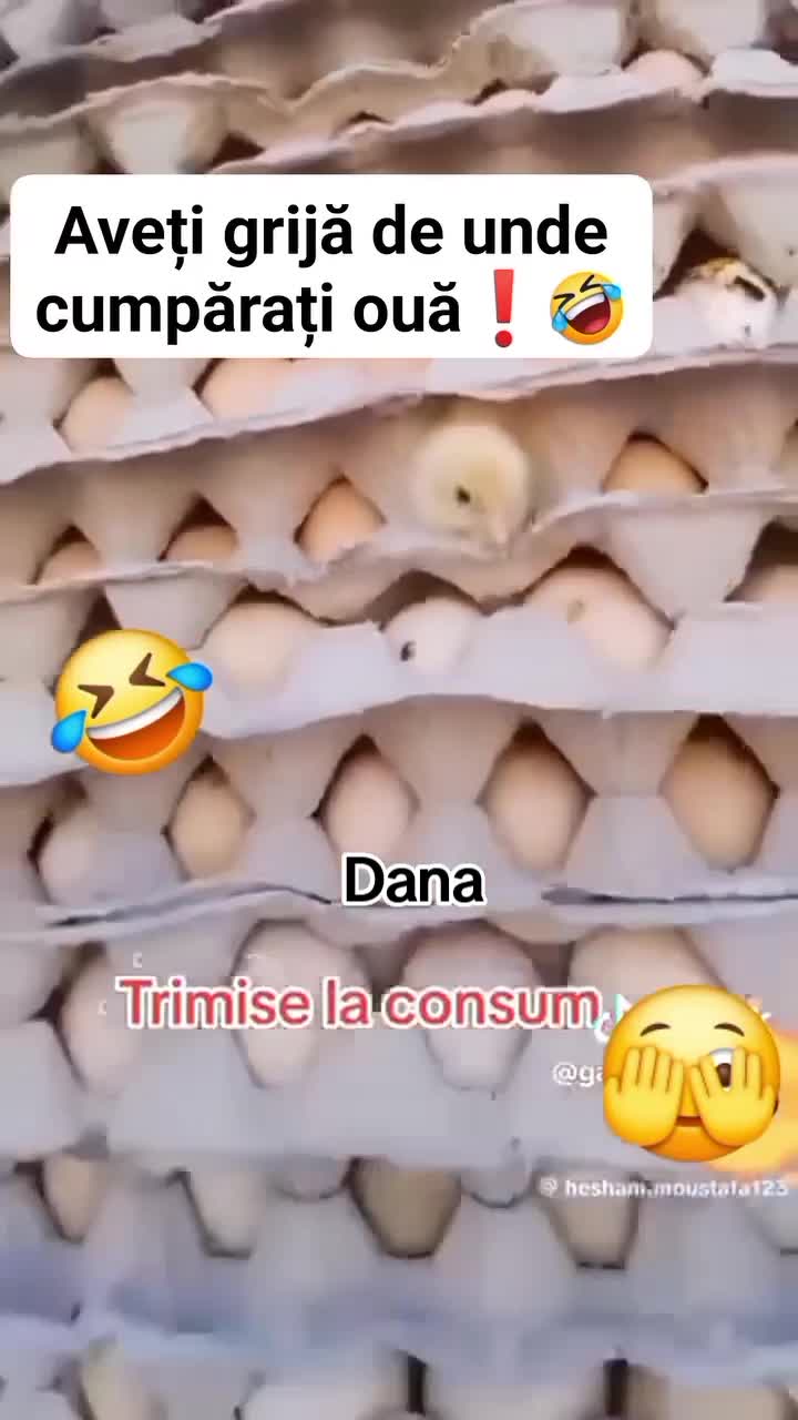 Aveți grijă 🤣🤣
