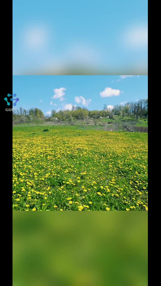 🌳