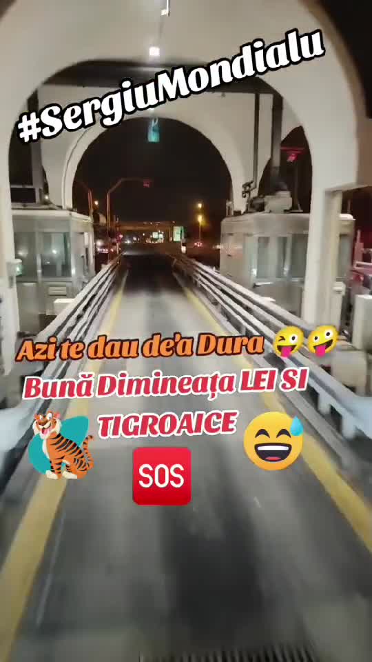 Na beleaua de dimineata 🫡🤣☕❤️‍🔥