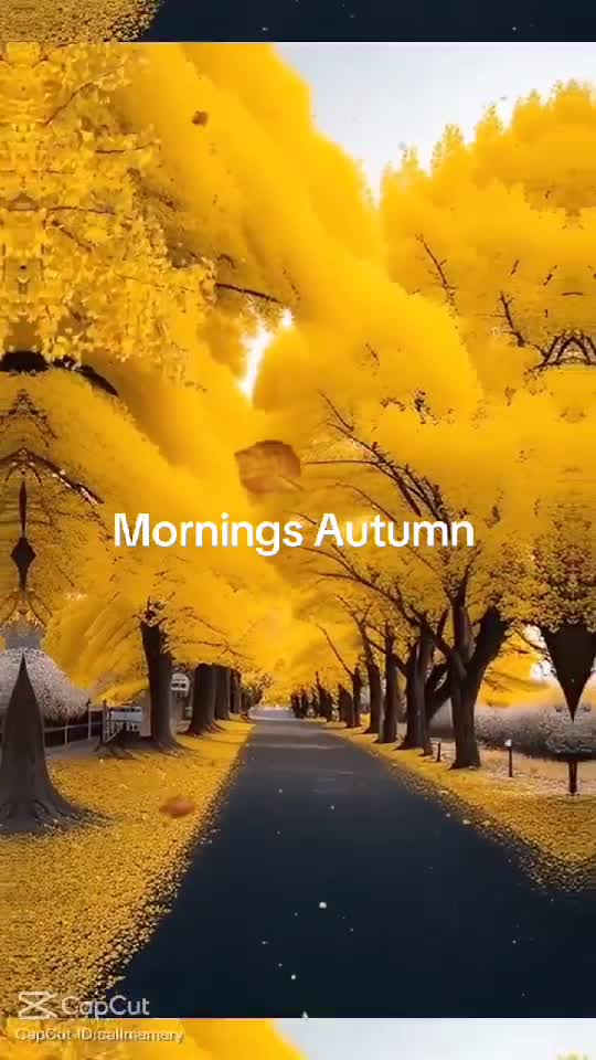 MORNINGS AUTUMN