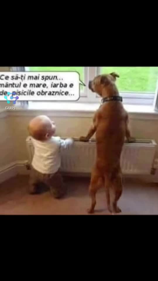 ce să-ți mai spun...😁😁😁