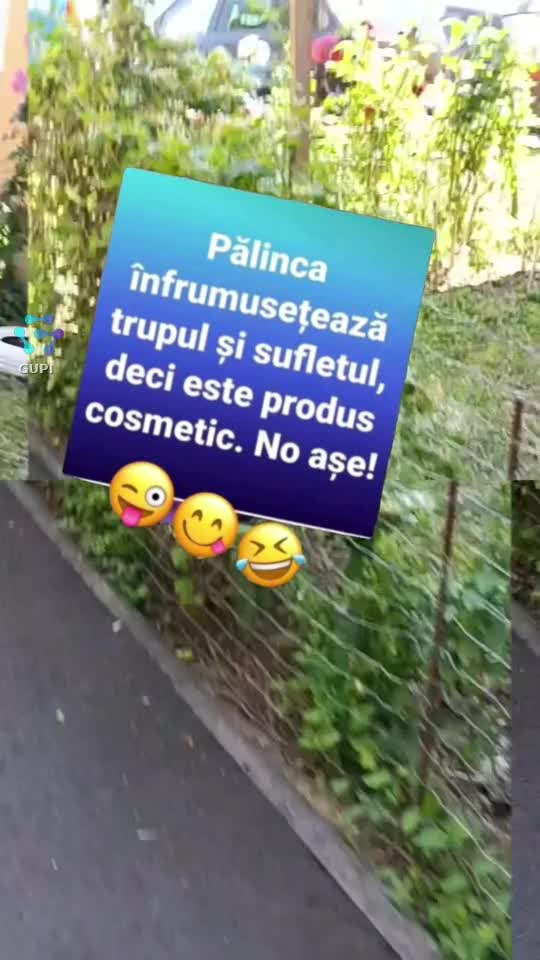 Video de @gupiuser144503