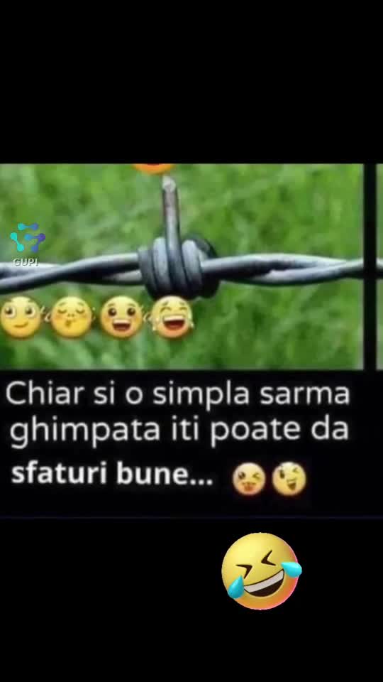 chiar și o sârmă îți poate da sfaturi...😁