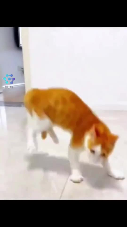 🤣🤣