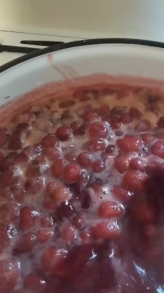 🍓🍓🍓