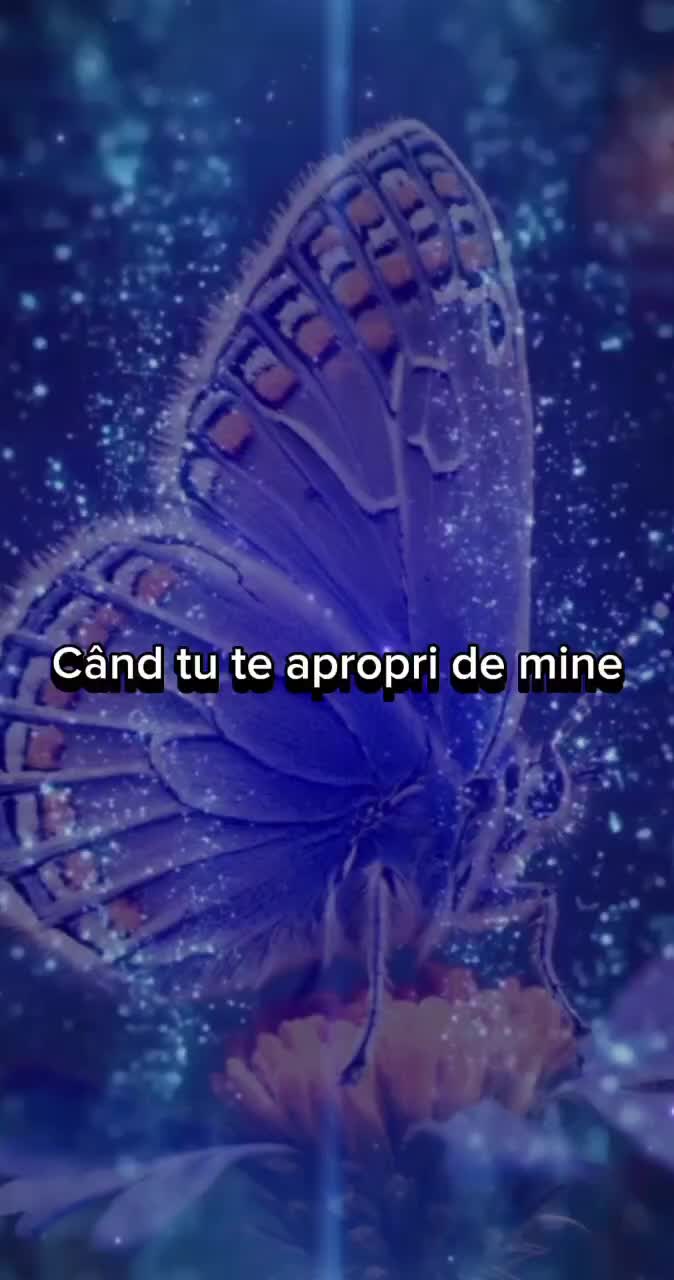 # 🦋
