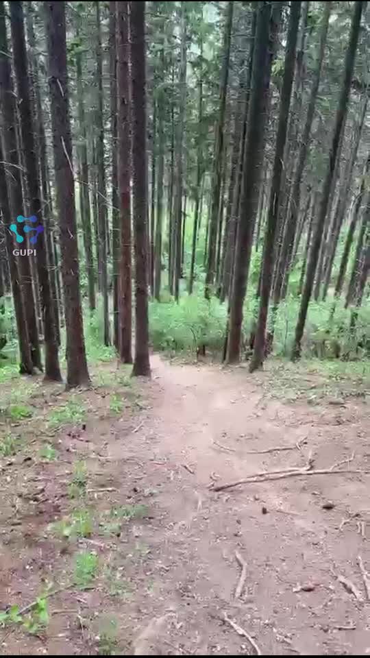 .. distracție de week