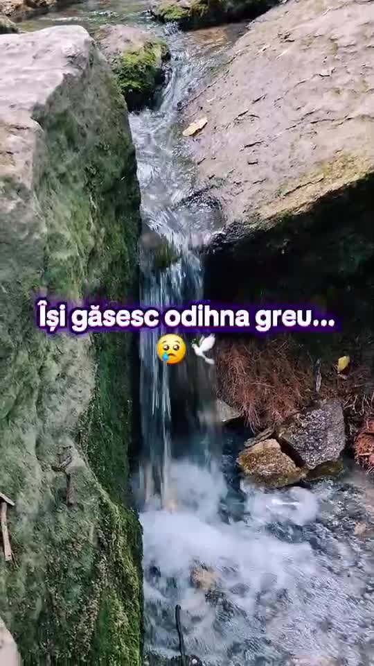 👋👋