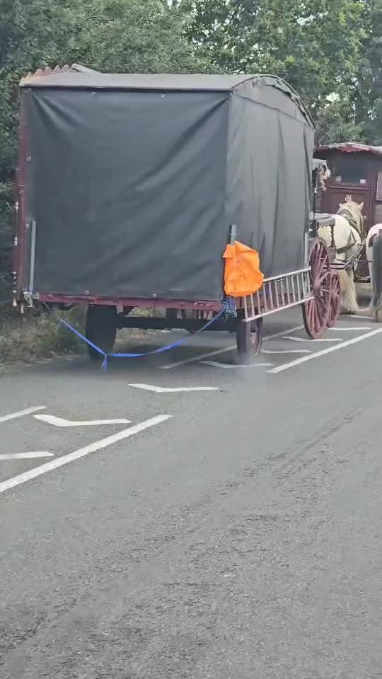 TREC ......TREC😀