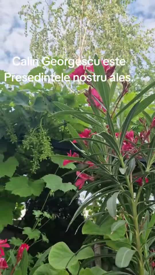 Ascultati și distribuiți