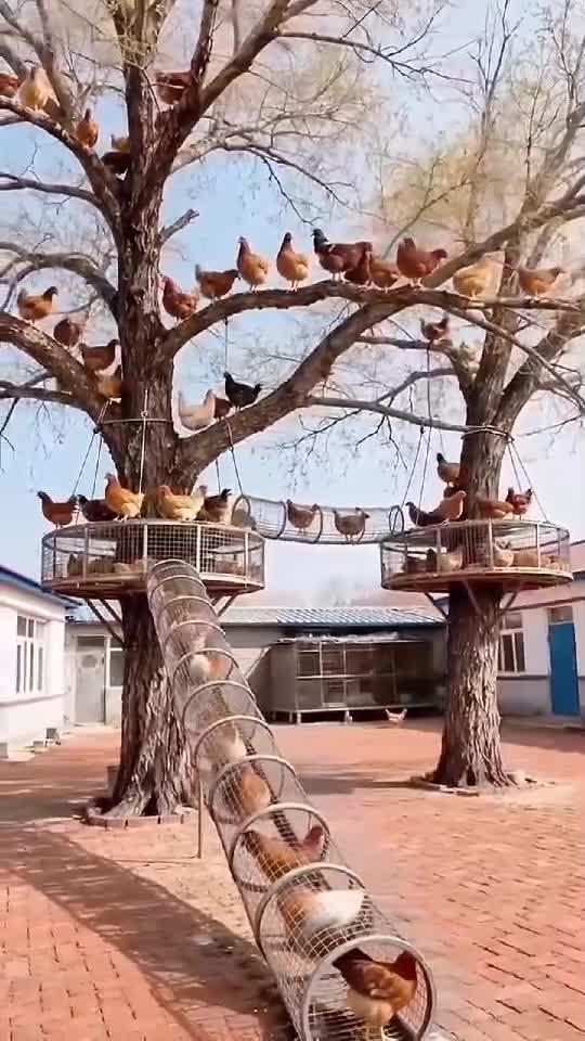 😄