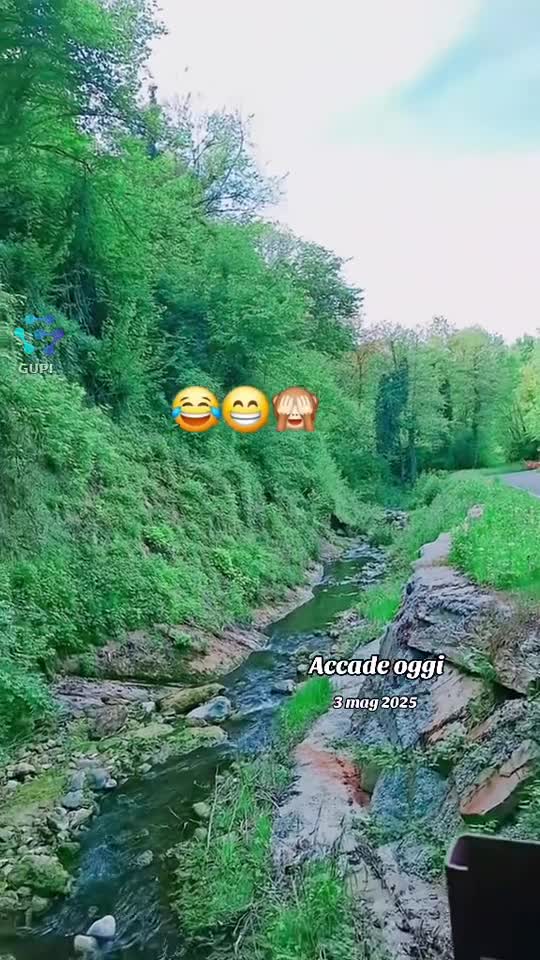 |||{"overlays":[{"text":"🌈","x":0.6670940170940172,"y":0.6497652582159623,"fontSize":41.37316304251762,"color":4294967295,"isEmoji":true},{"text":"🌞","x":0.5132478632478633,"y":0.6018779342723004,"fontSize":72.0,"color":4294967295,"isEmoji":true}]}