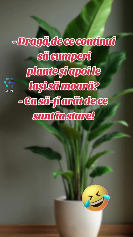 cu femeia nu te pui...😁🤣😁