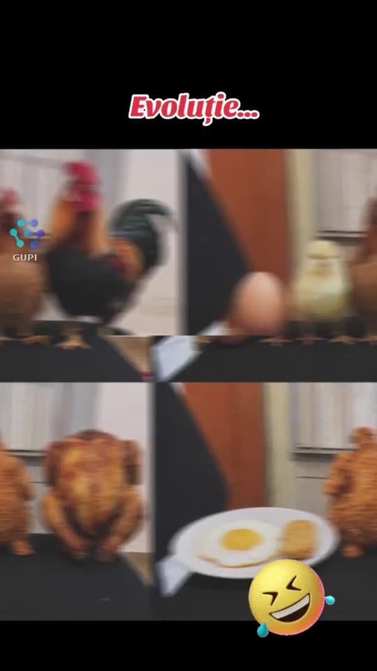 evoluție...😁😁😁