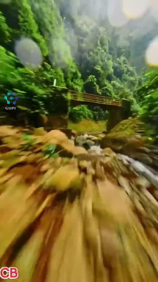 Nature's beauty