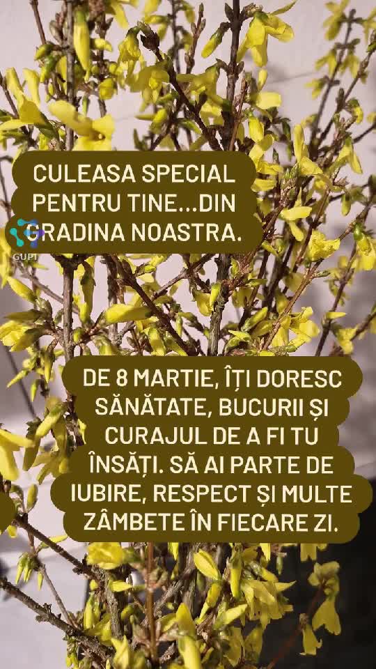 8 martie