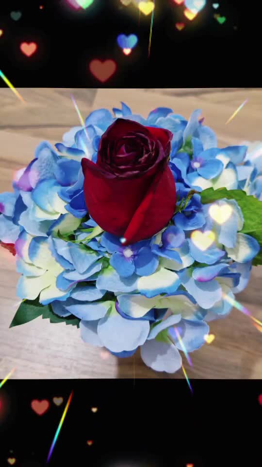 #  
  #❤️💙 #🦋