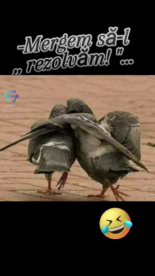 când prietenii se răzbună...😁😁😁