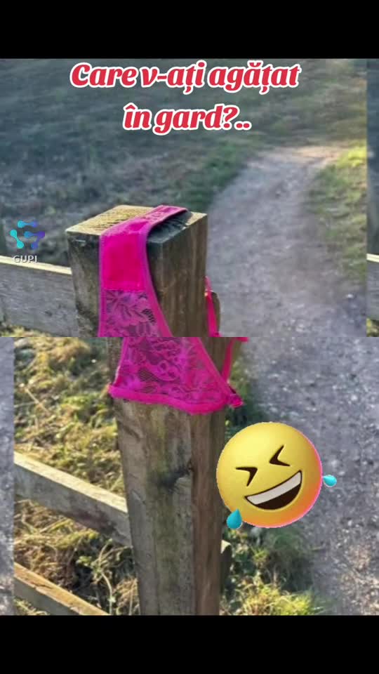 care v-ați agățat în gard?...🤣🤣🤣