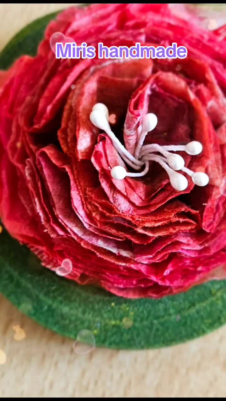 🌷🪻