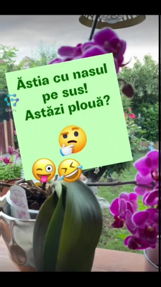 Video de @gupiuser144503