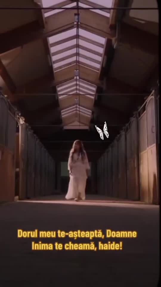 #🦋💙