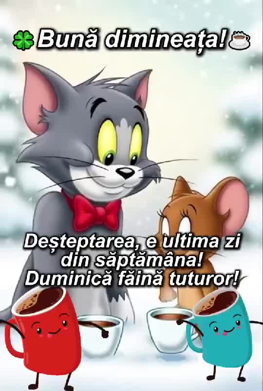 Neața bună!