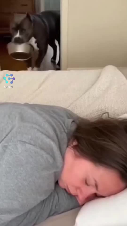 🤣🤣